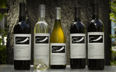 Frog's Leap Merlot | Total Wine & More