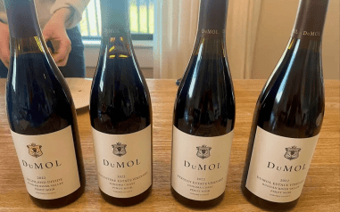 DuMOL Russian River Valley Pinot Noir | Vivino US